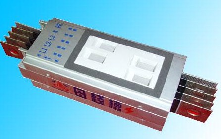 �P������ĸ����