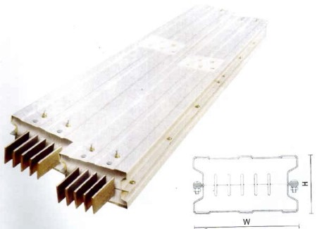 �P��ͨ����ĸ����