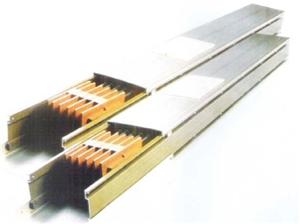 �P���X��ĸ����